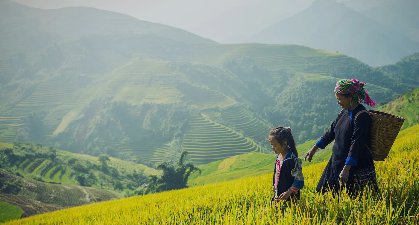 Agriculture& Organic Farm